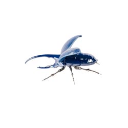 miniatura