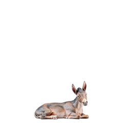 Burro talla de madera