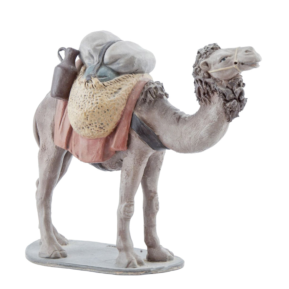 Camello con carga
