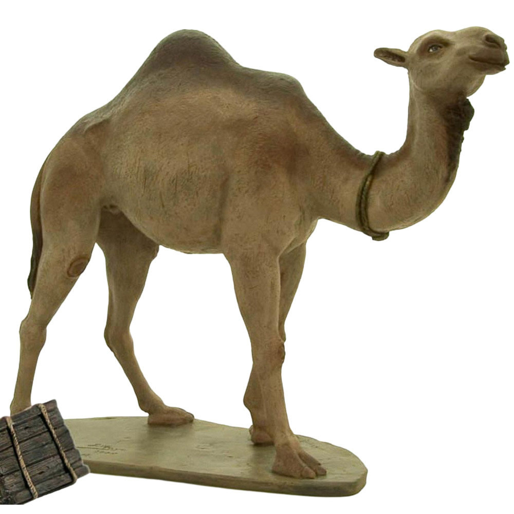 Camello de pie pc