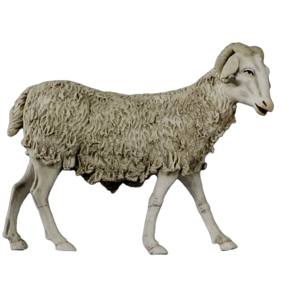 Corderitos (4modelos)