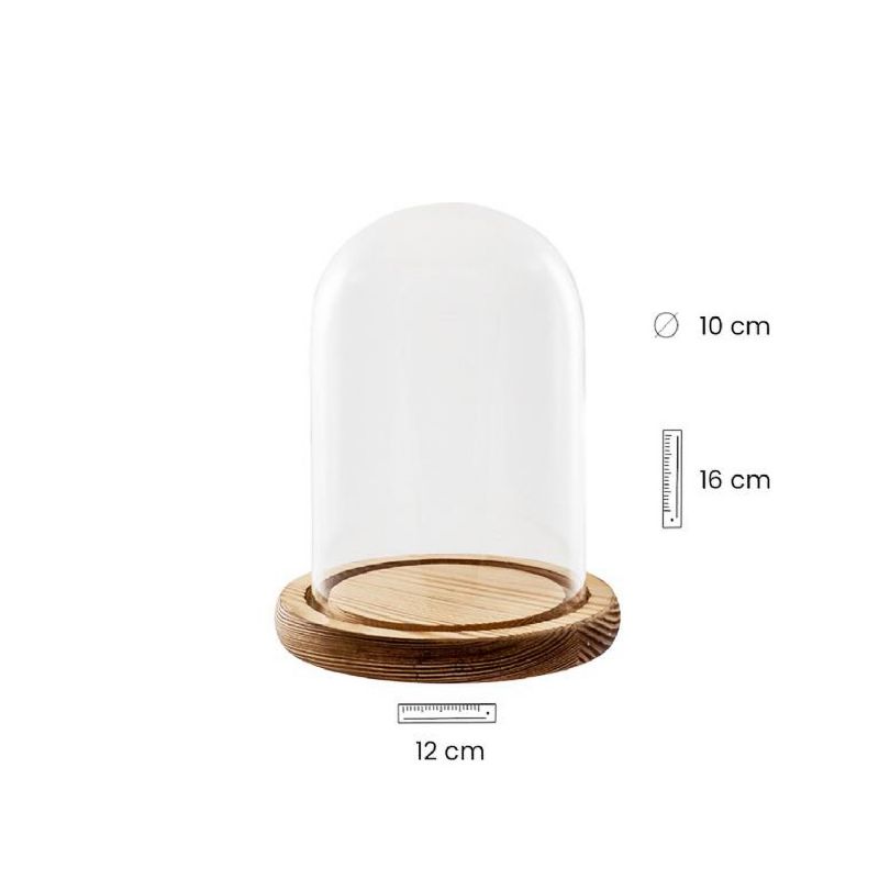 Fanal de cristal con base de madera - 12 x 12 x 16 cm