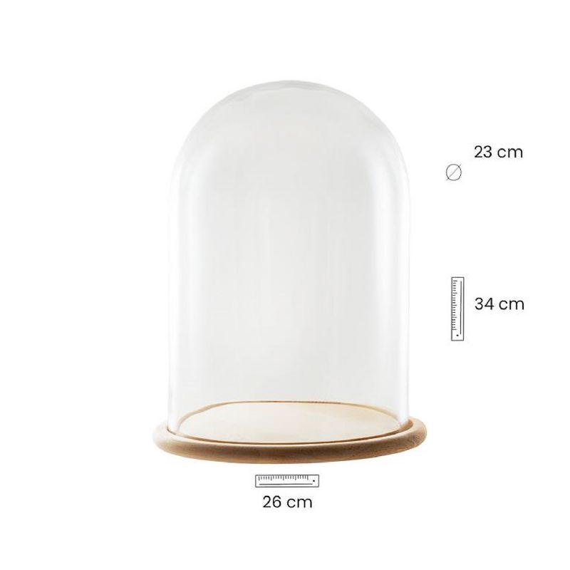 Fanal de cristal con base de madera - 26 x 26 x 34 cm